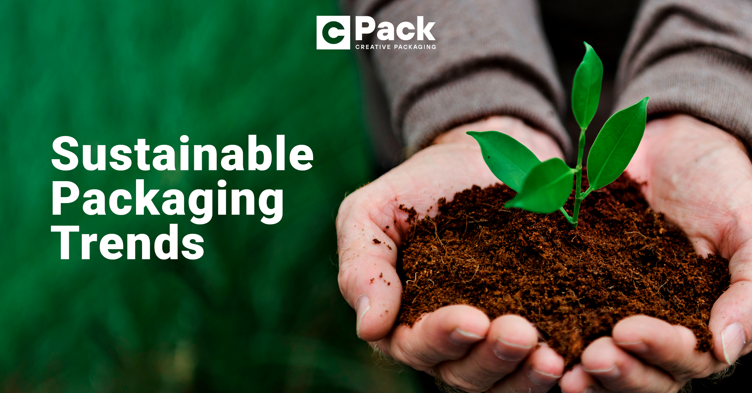 Sustainable Packaging Trends